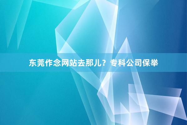 东莞作念网站去那儿？专科公司保举
