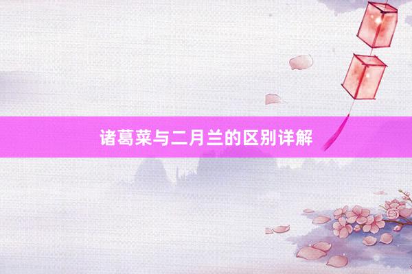 诸葛菜与二月兰的区别详解