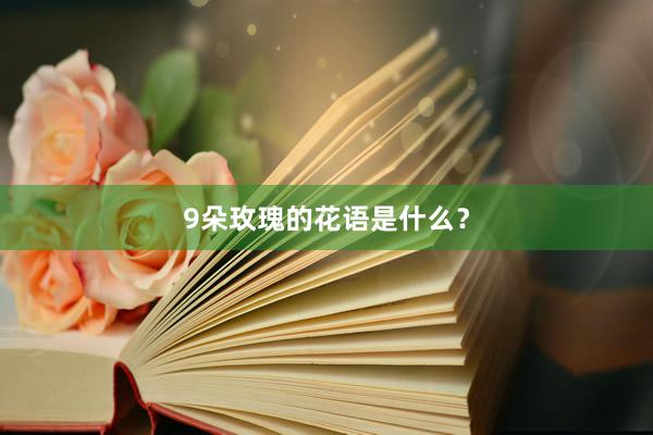 9朵玫瑰的花语是什么？
