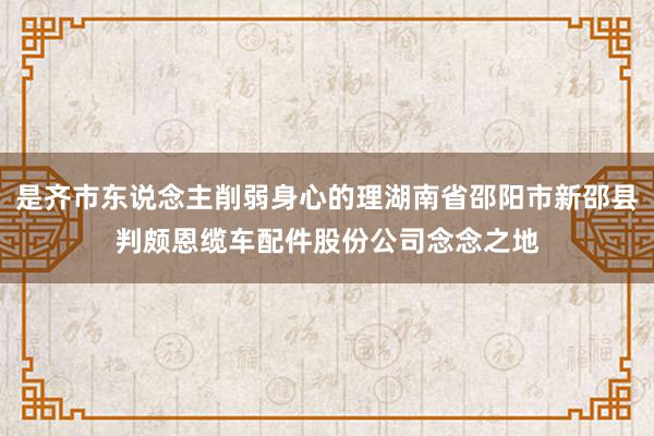 是齐市东说念主削弱身心的理湖南省邵阳市新邵县判颇恩缆车配件股份公司念念之地