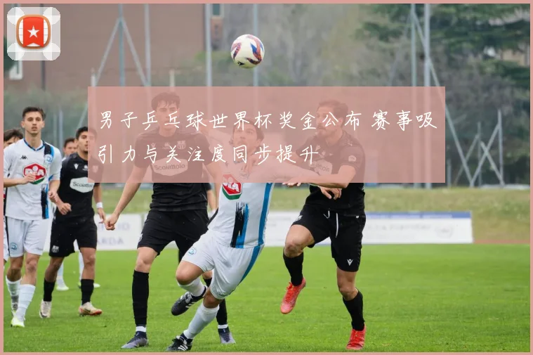 男子乒乓球世界杯奖金公布 赛事吸引力与关注度同步提升