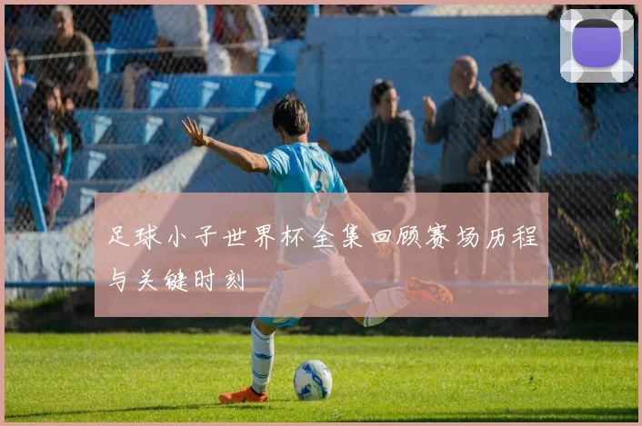 足球小子世界杯全集回顾赛场历程与关键时刻