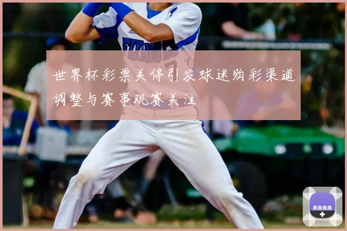 世界杯彩票关停引发球迷购彩渠道调整与赛事观赛关注