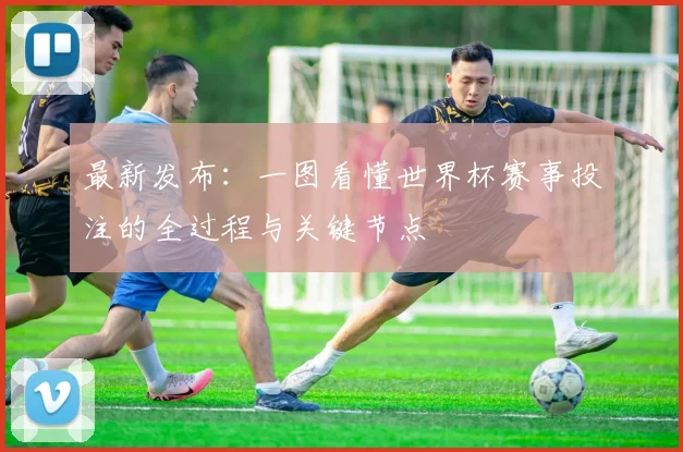 最新发布:一图看懂世界杯赛事投注的全过程与关键节点