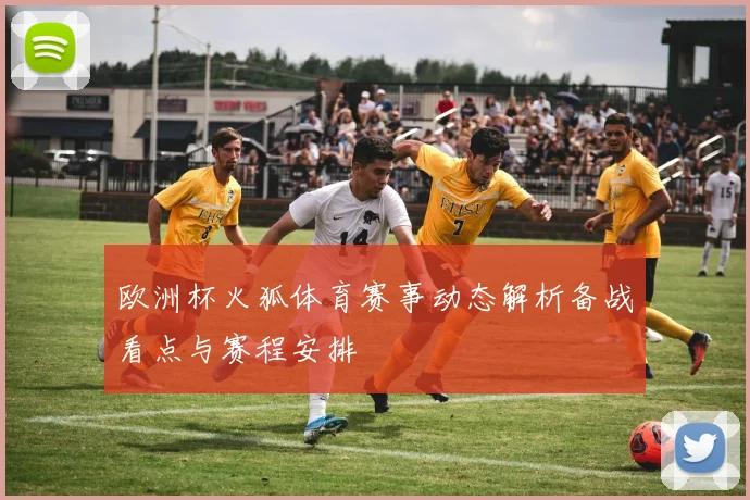 欧洲杯火狐体育赛事动态解析备战看点与赛程安排