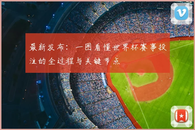 最新发布:一图看懂世界杯赛事投注的全过程与关键节点